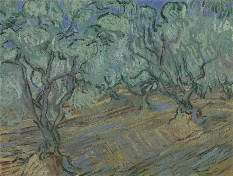 Olive Grove Bright Blue Sky Van Gogh Oil Painting